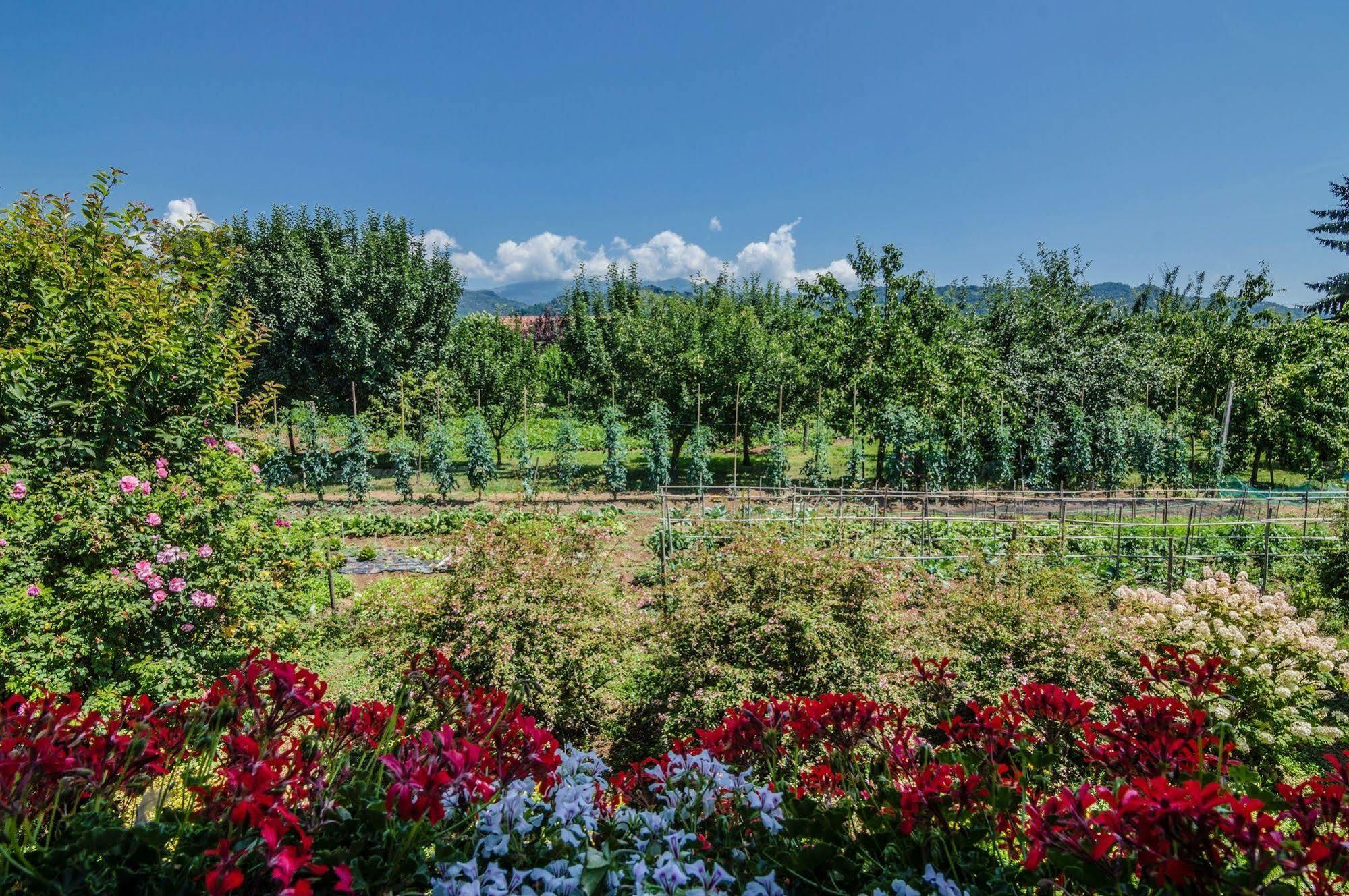 Agriturismo Chioi Barga Exteriér fotografie